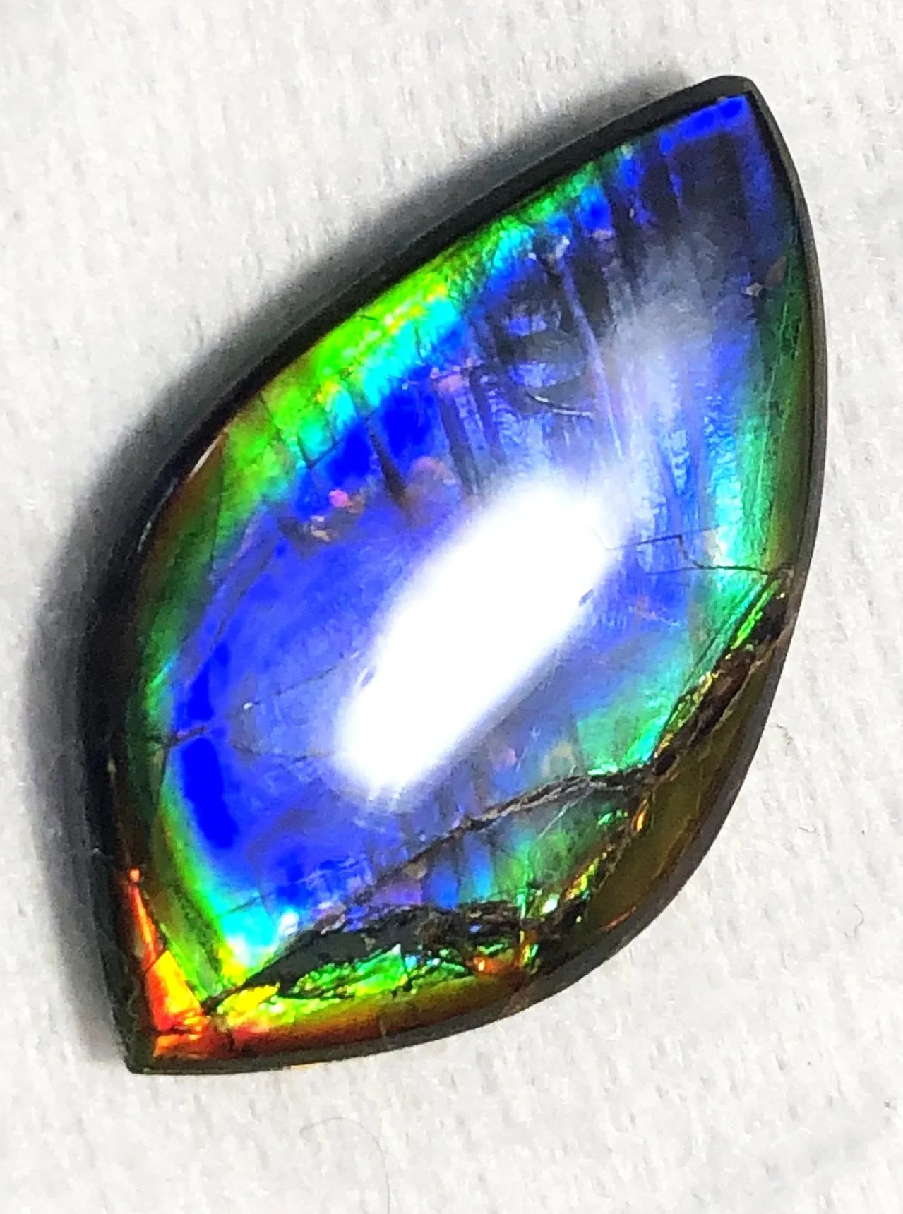 40 x 23.5 mm  Natural  Free Form . FFNT 118 Ammolite  ナチュラル　ルース　アンモライト フリーフォーム