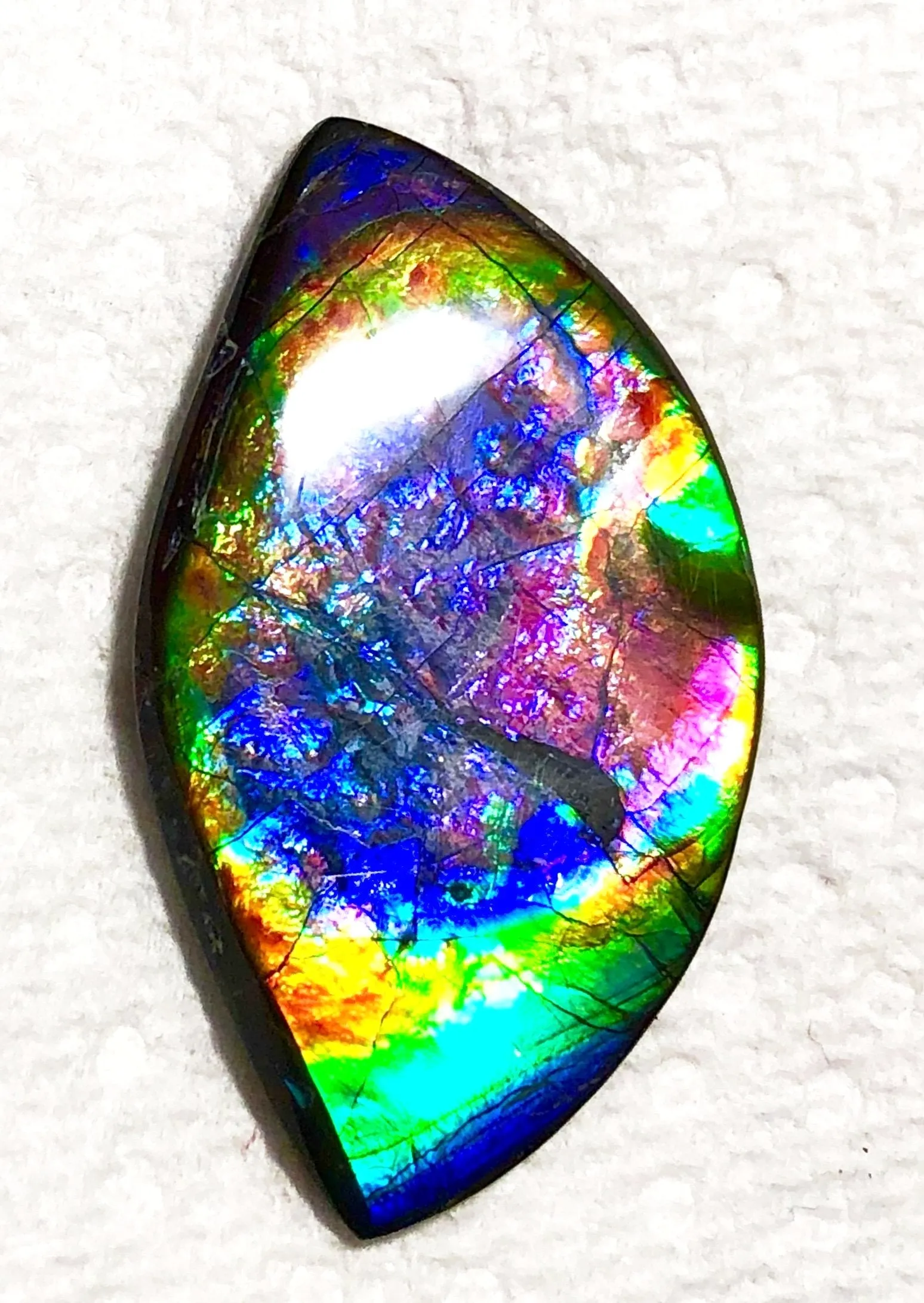 51 x 29.5x 4 mm Premium RARE Pink with gorgeous colors! Natural  Free Form . FFNT 124 Super bright  ナチュラル　ルース　アンモライト フリーフォーム Free shipping