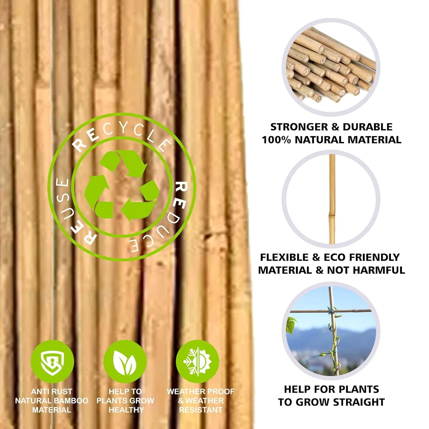 5ft Bamboo Garden Canes Natural Strong Plant Support Stakes 1.5m 20-100pk