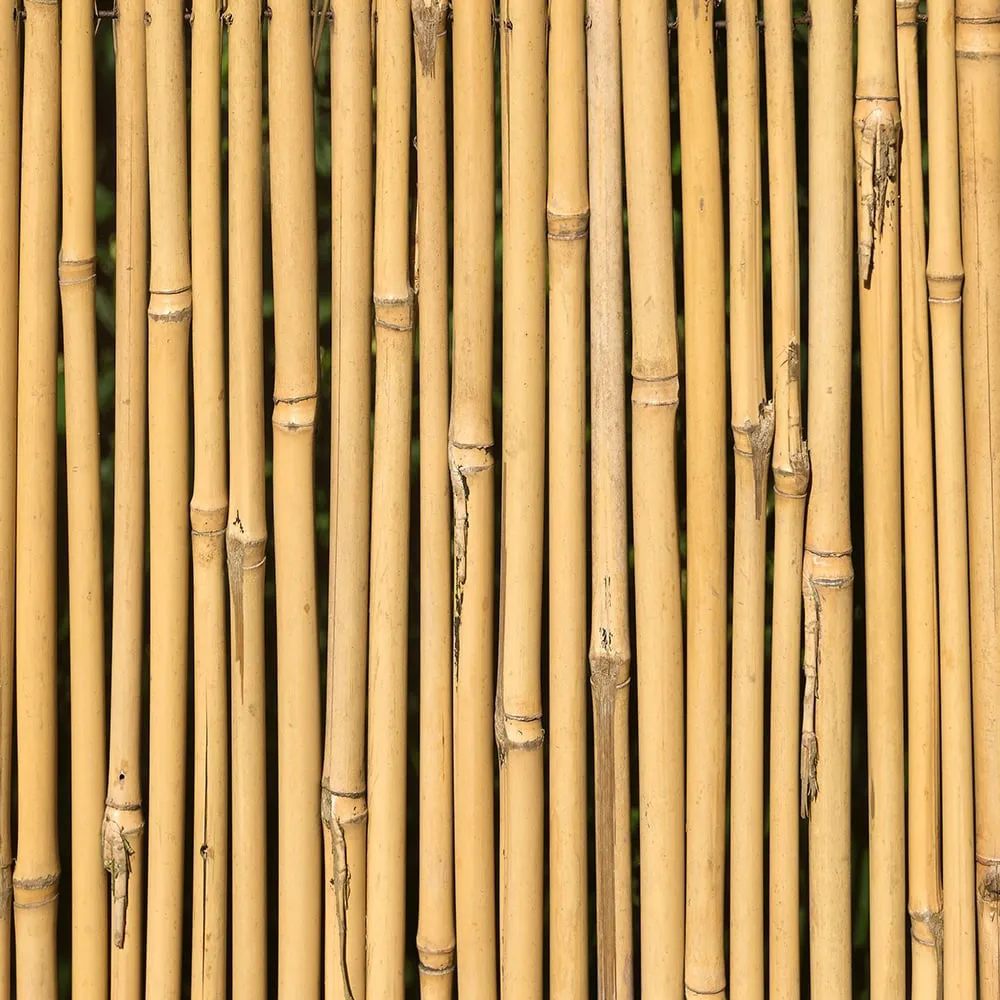 5ft Bamboo Garden Canes Natural Strong Plant Support Stakes 1.5m 20-100pk