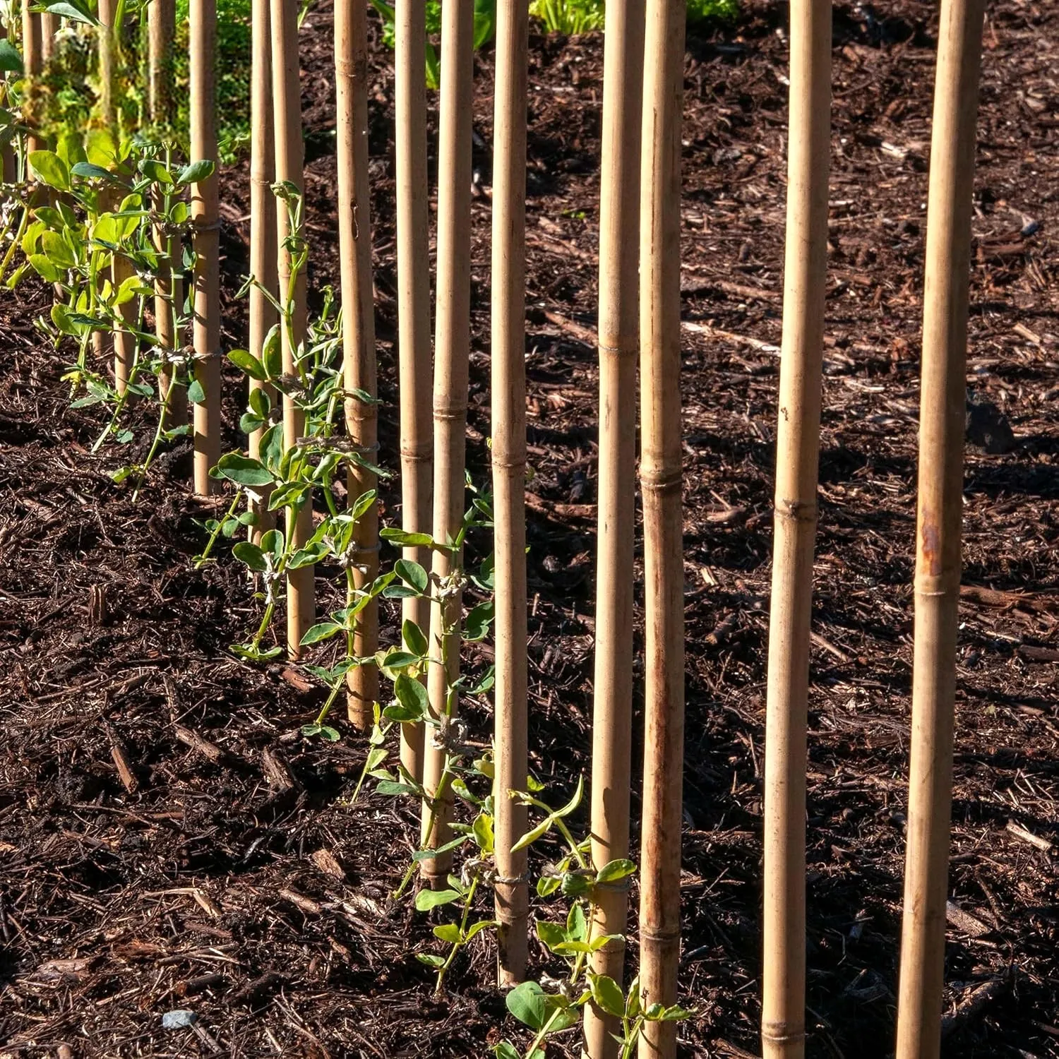 5ft Bamboo Garden Canes Natural Strong Plant Support Stakes 1.5m 20-100pk