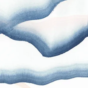 Allyn-Storm Oyster 0021