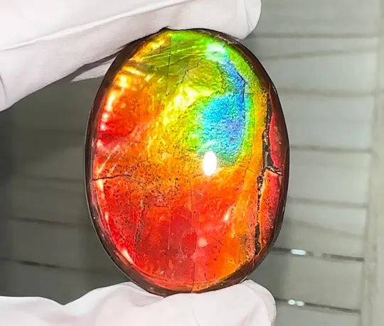 Ammolite Imperial Double-Sided NATURAL Polished Freeform Stone Collector's Gemstone 42x31mm, Polished/Coated IMP100