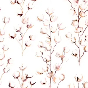 Ashley-Rose Oyster 0021