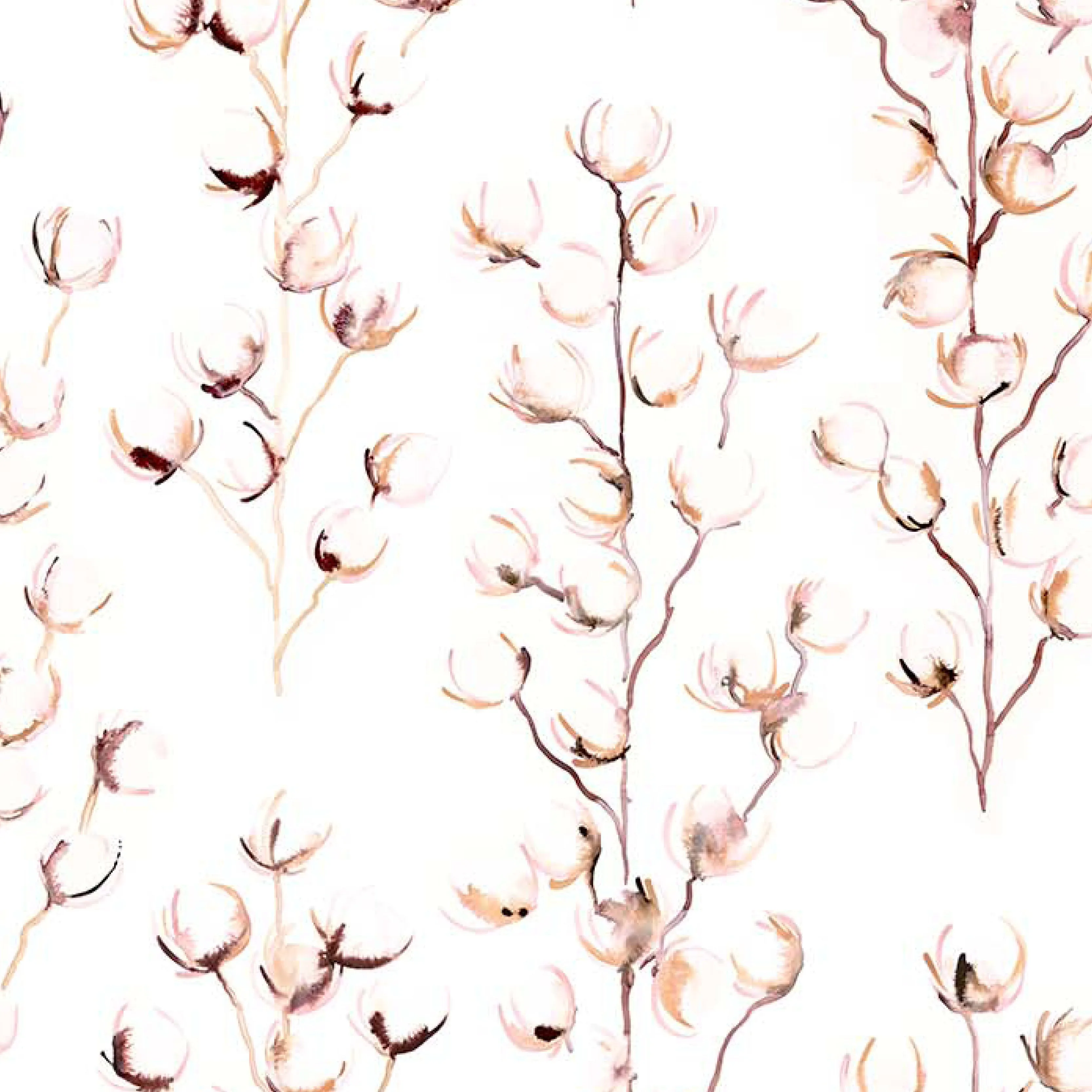 Ashley-Rose Oyster 0021