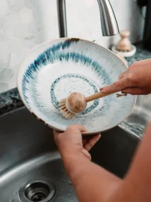 Bamboo Dish Brush