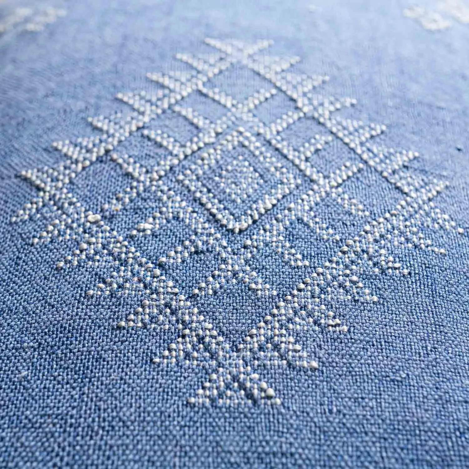 Blue Cactus silk pillow cover