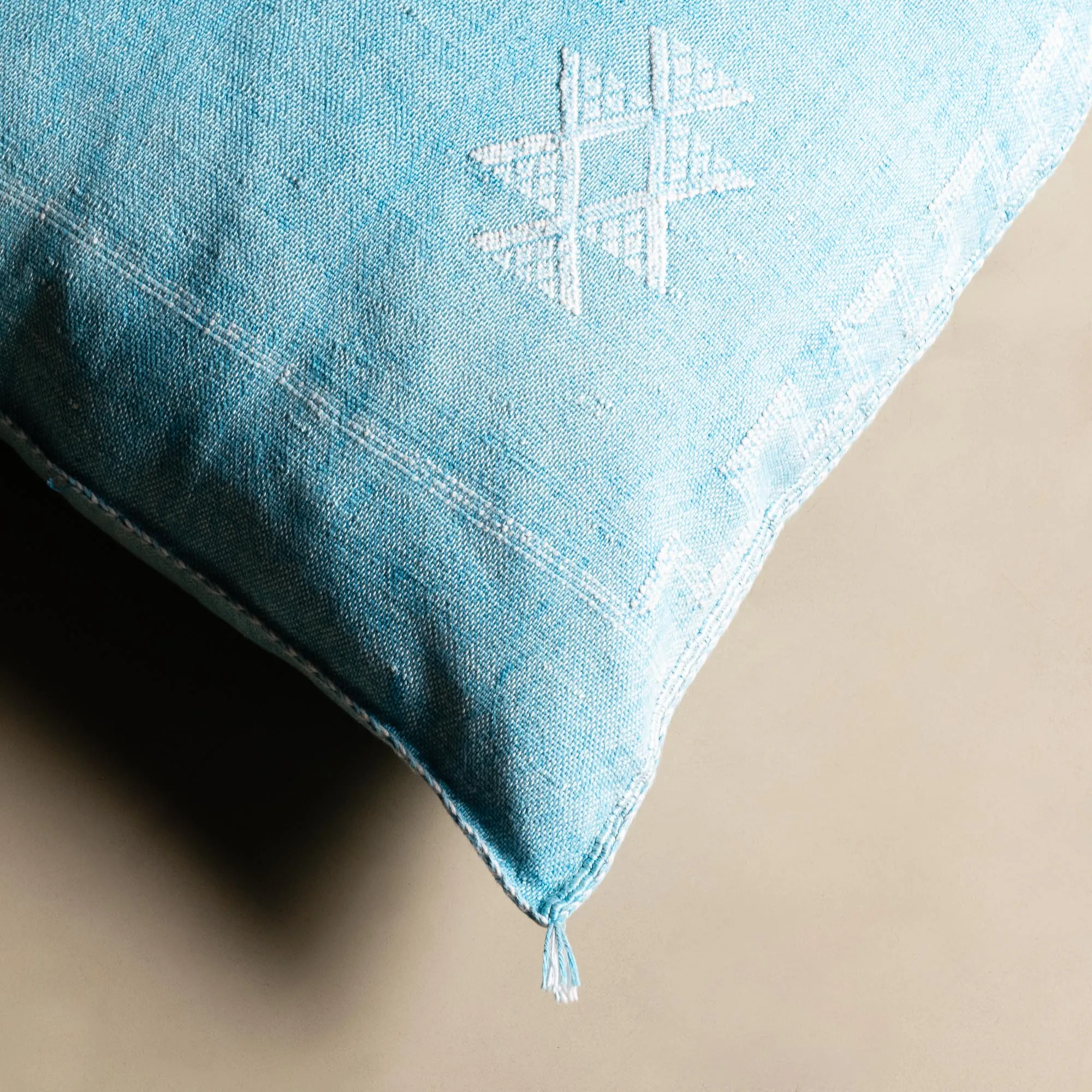 Blue Cactus silk pillow cover