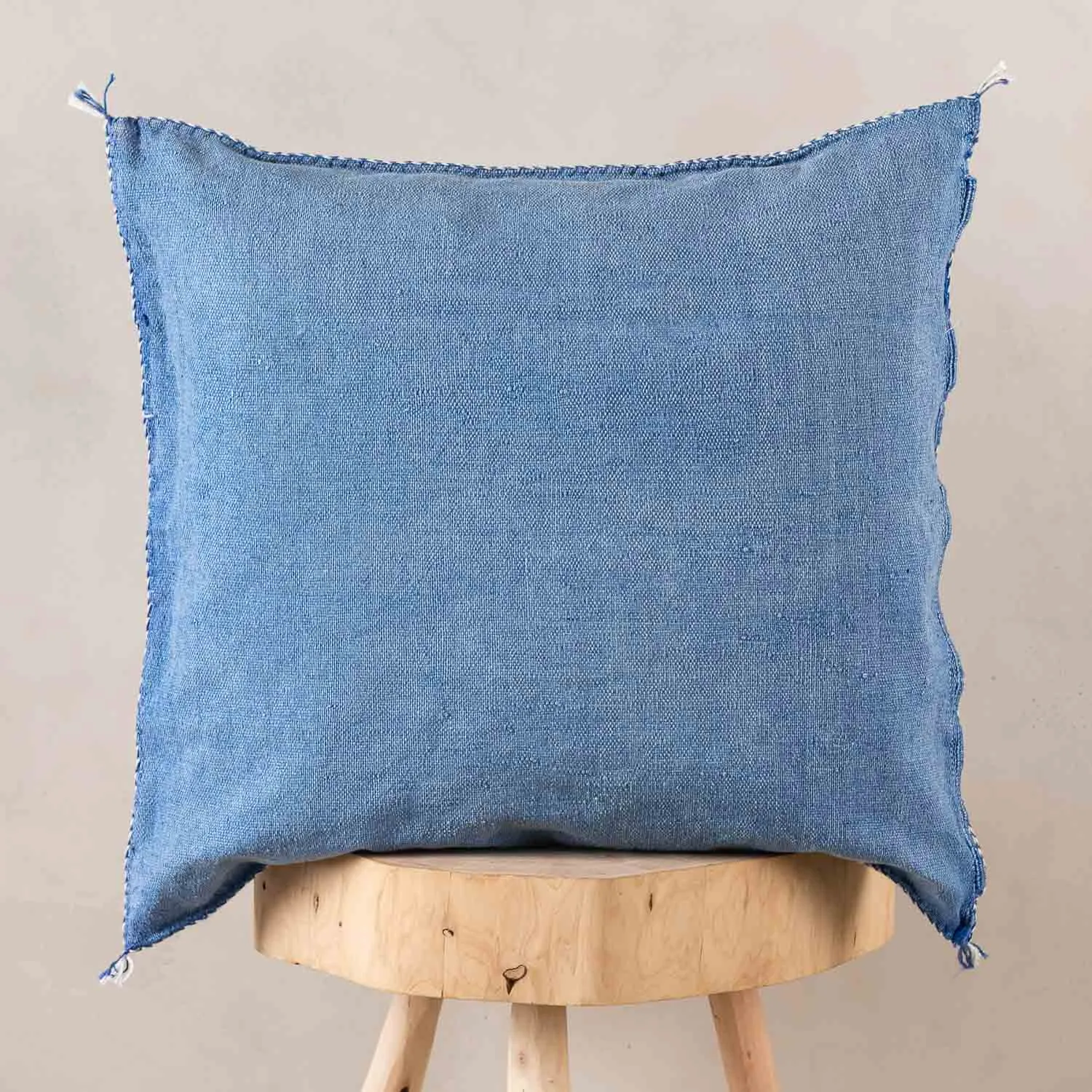 Blue Cactus silk pillow cover