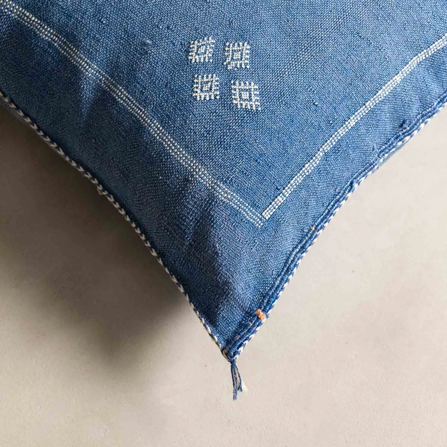 Blue Cactus silk pillow cover
