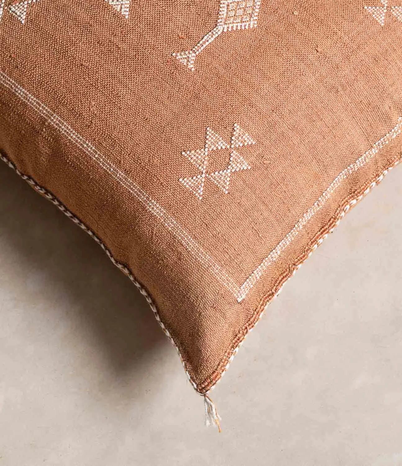 Brown Cactus silk pillow cover