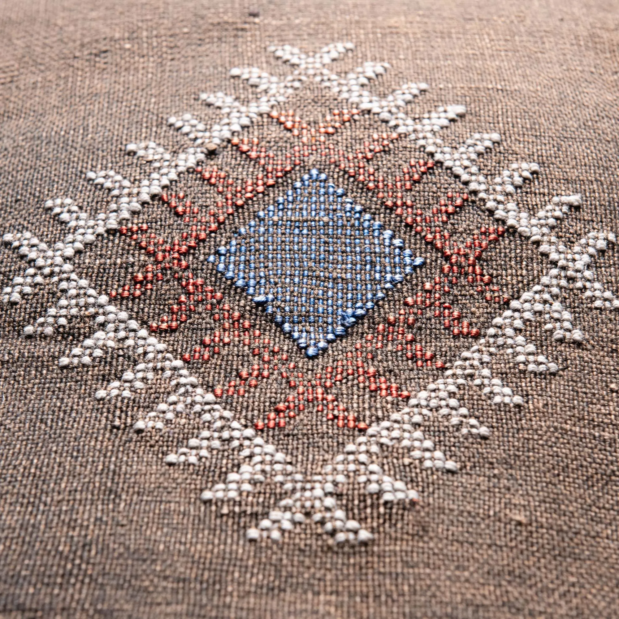 Brown Cactus silk pillow cover