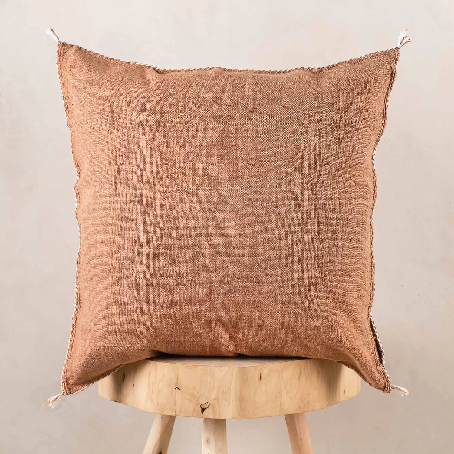 Brown Cactus silk pillow cover