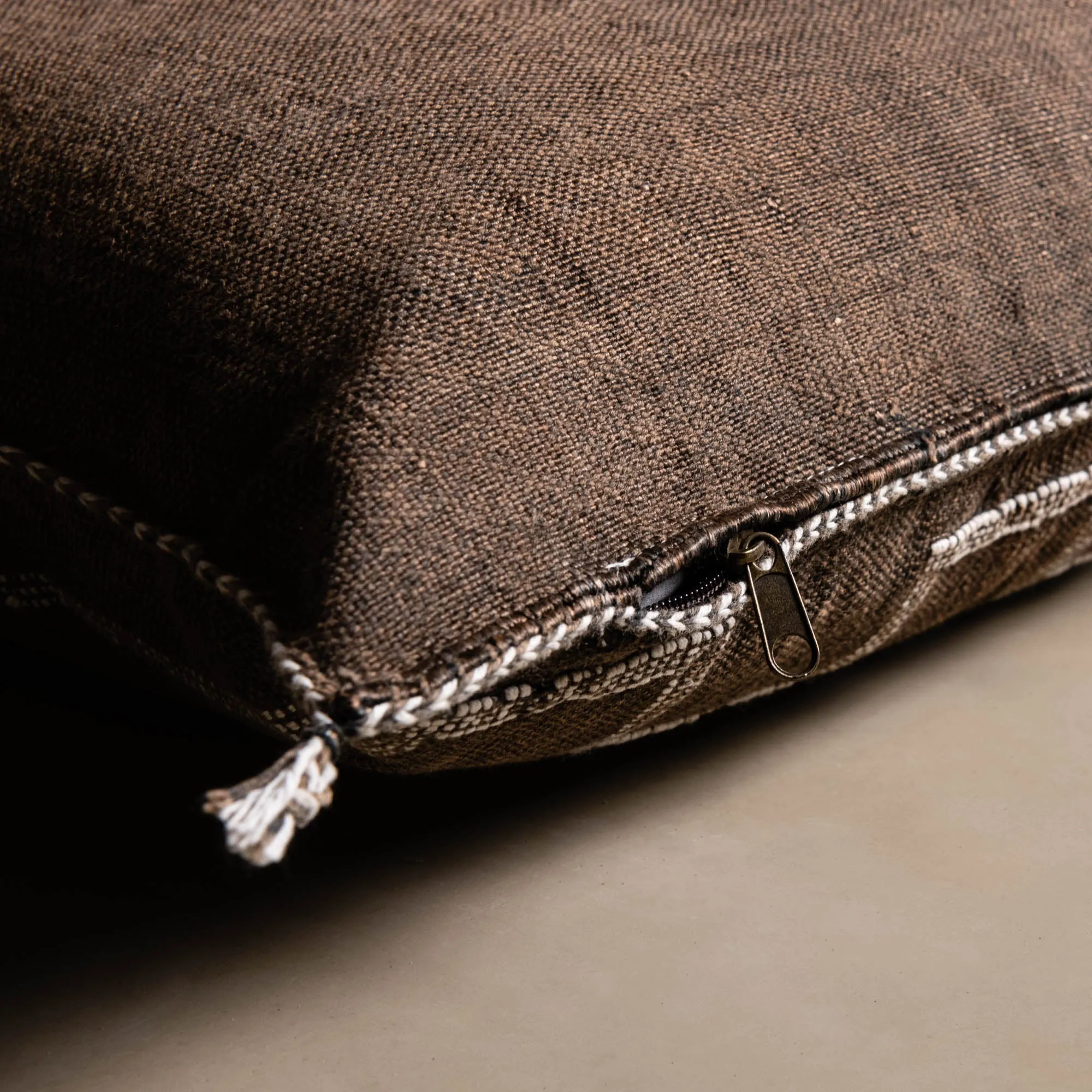 Brown Cactus silk pillow cover