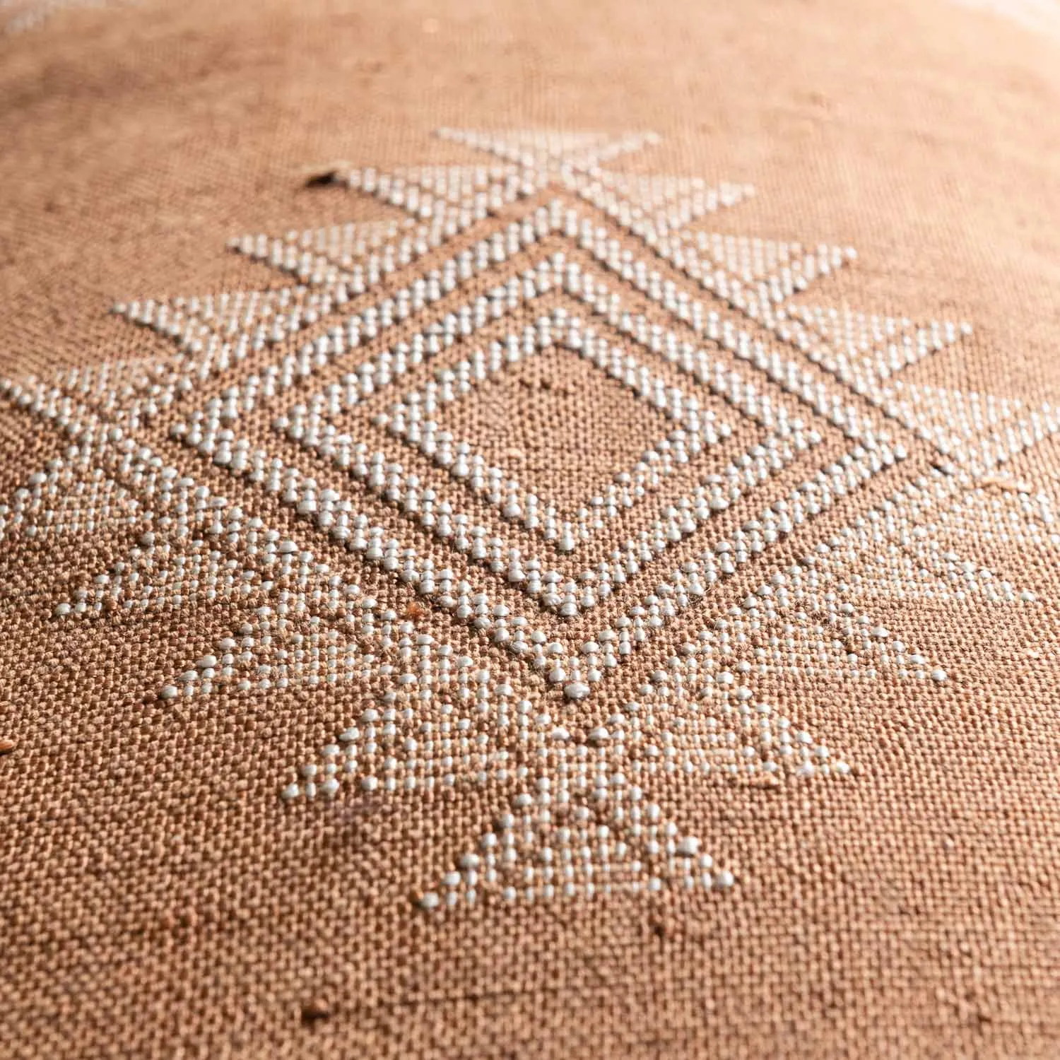Brown Cactus silk pillow cover