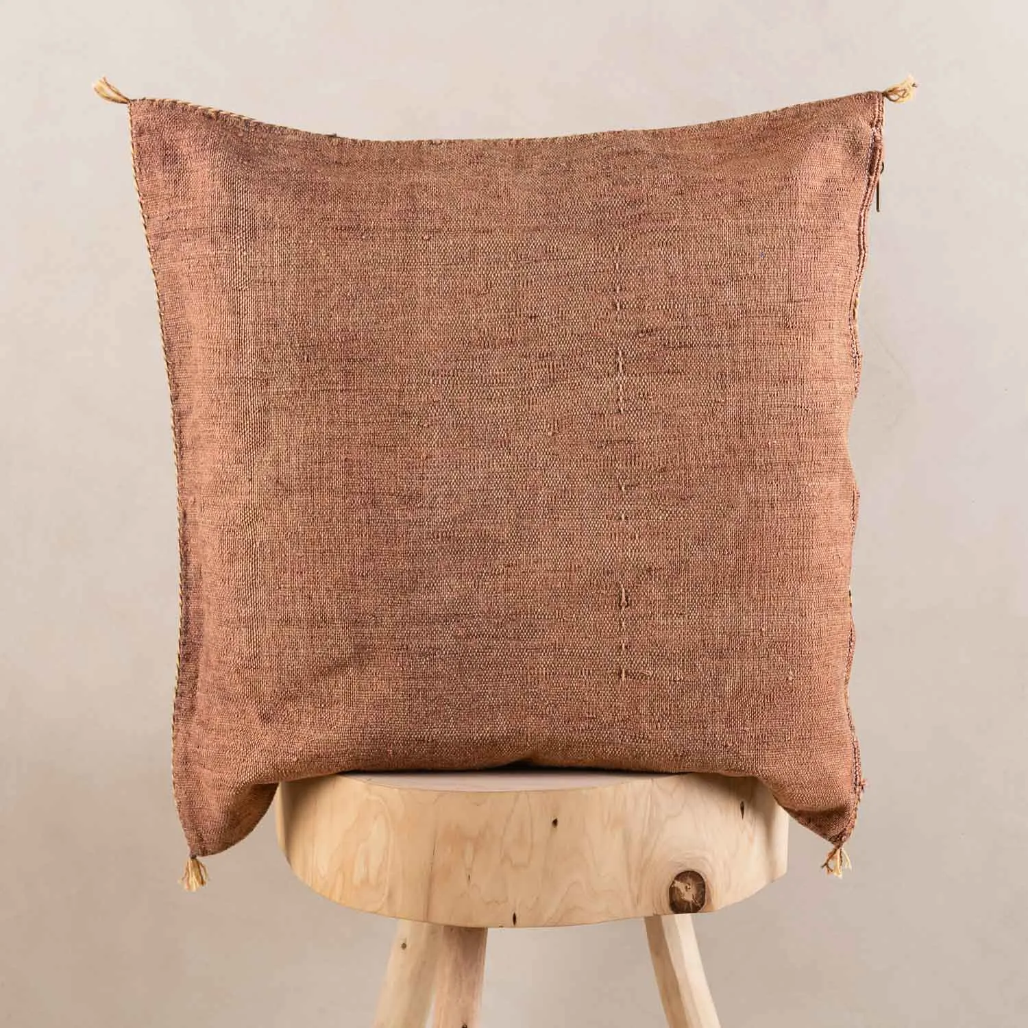 Brown Cactus silk pillow cover