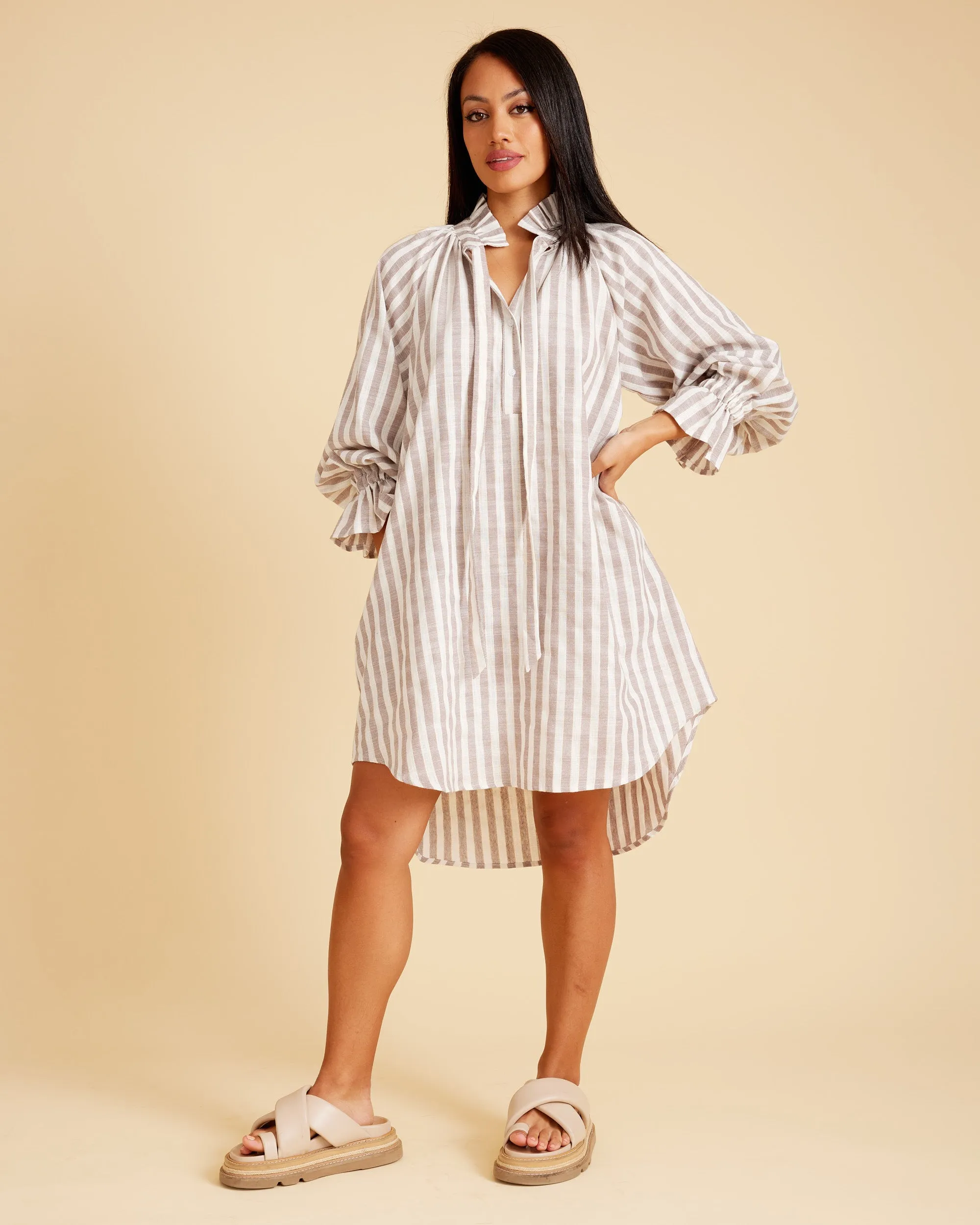 CC Shirt Dress