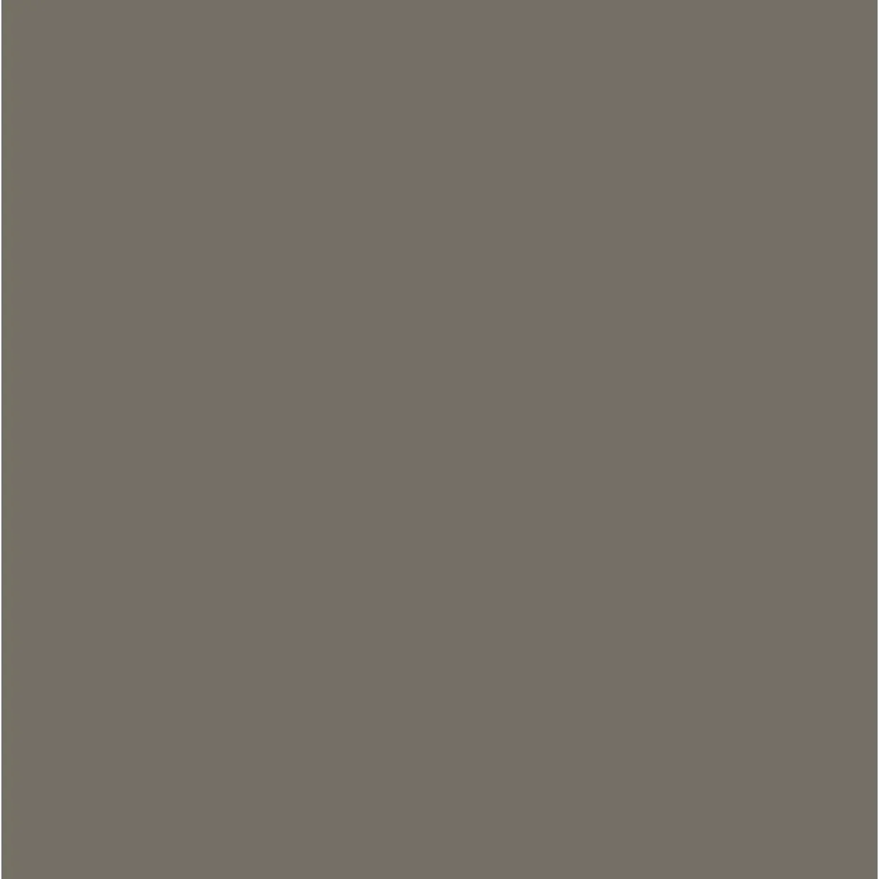 Colourtrend Burrowing