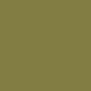 Colourtrend Leafy Green