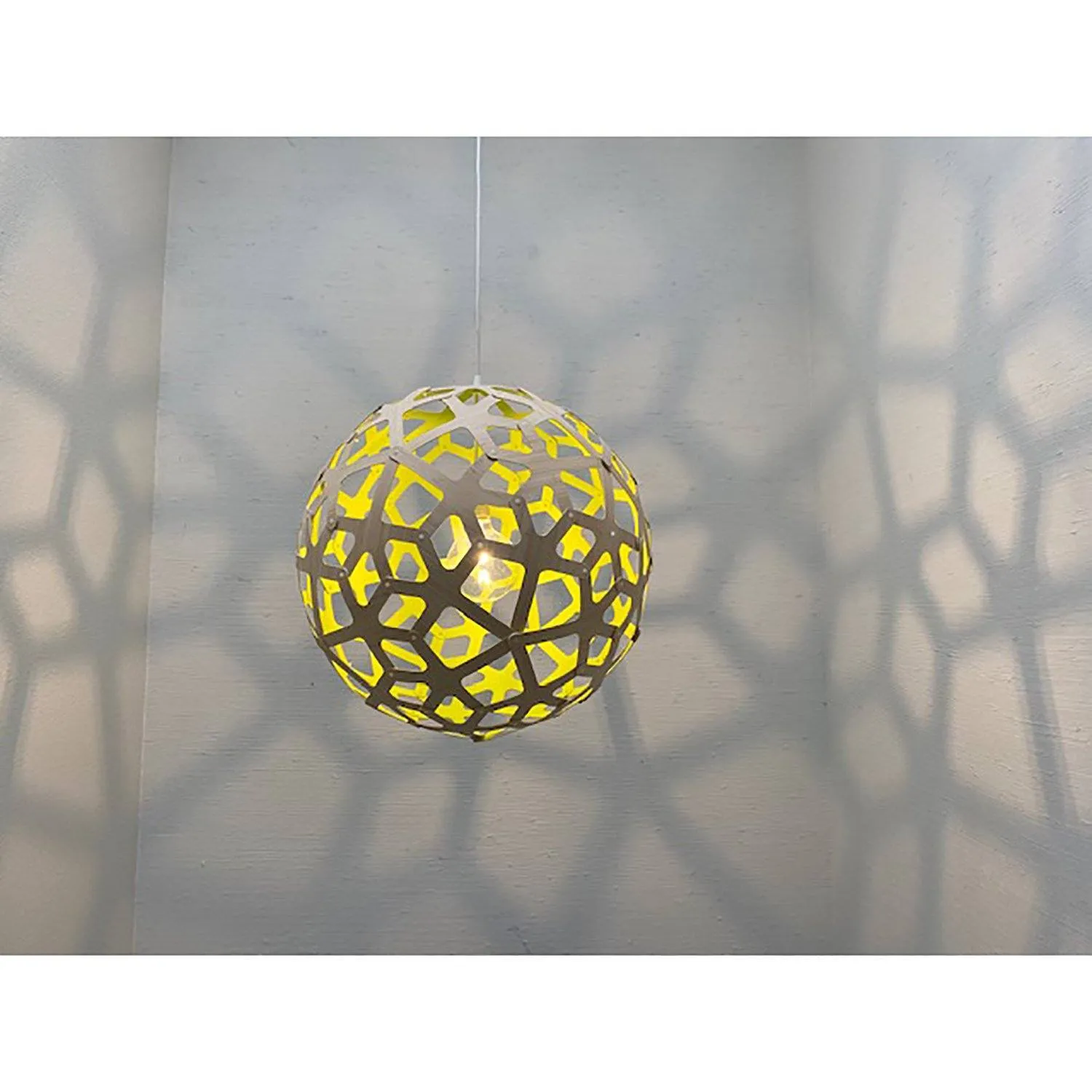 David Trubridge Painted Coral Pendant Light