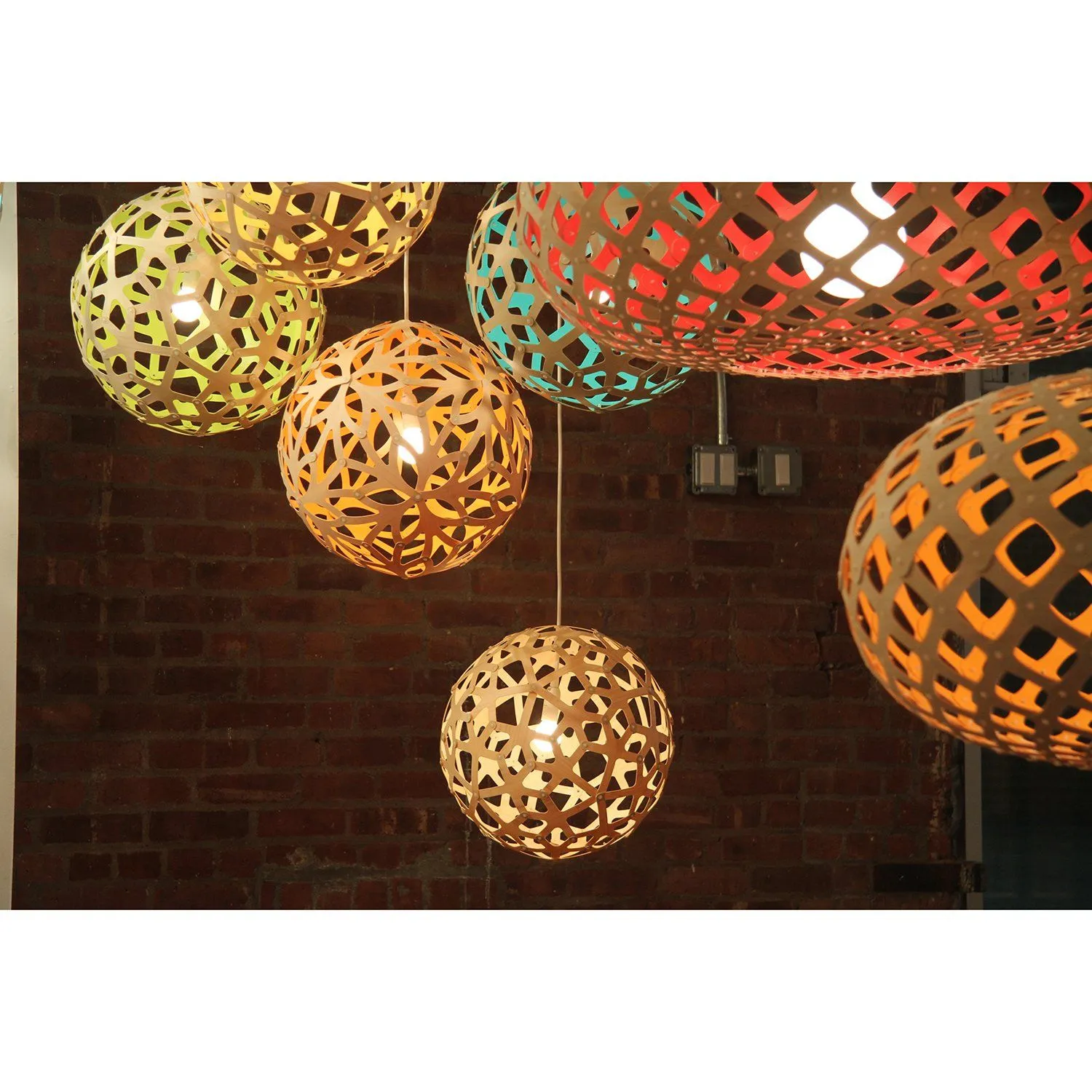 David Trubridge Painted Coral Pendant Light