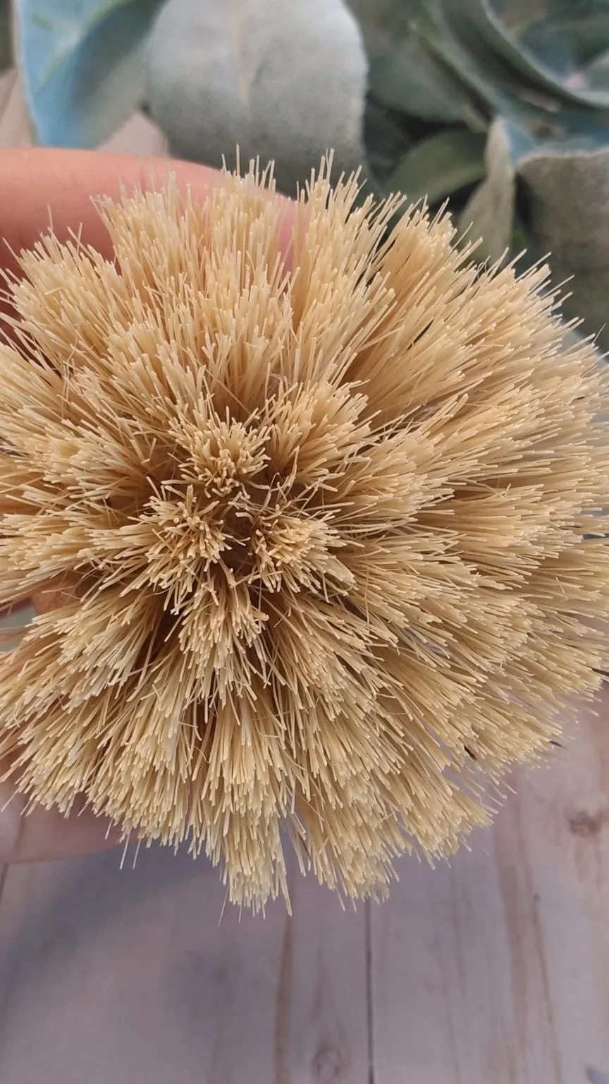 Dish Brush - Natural - Palm Brush - Bamboo Dish Brush - Eco-Friendly - Plastic Free