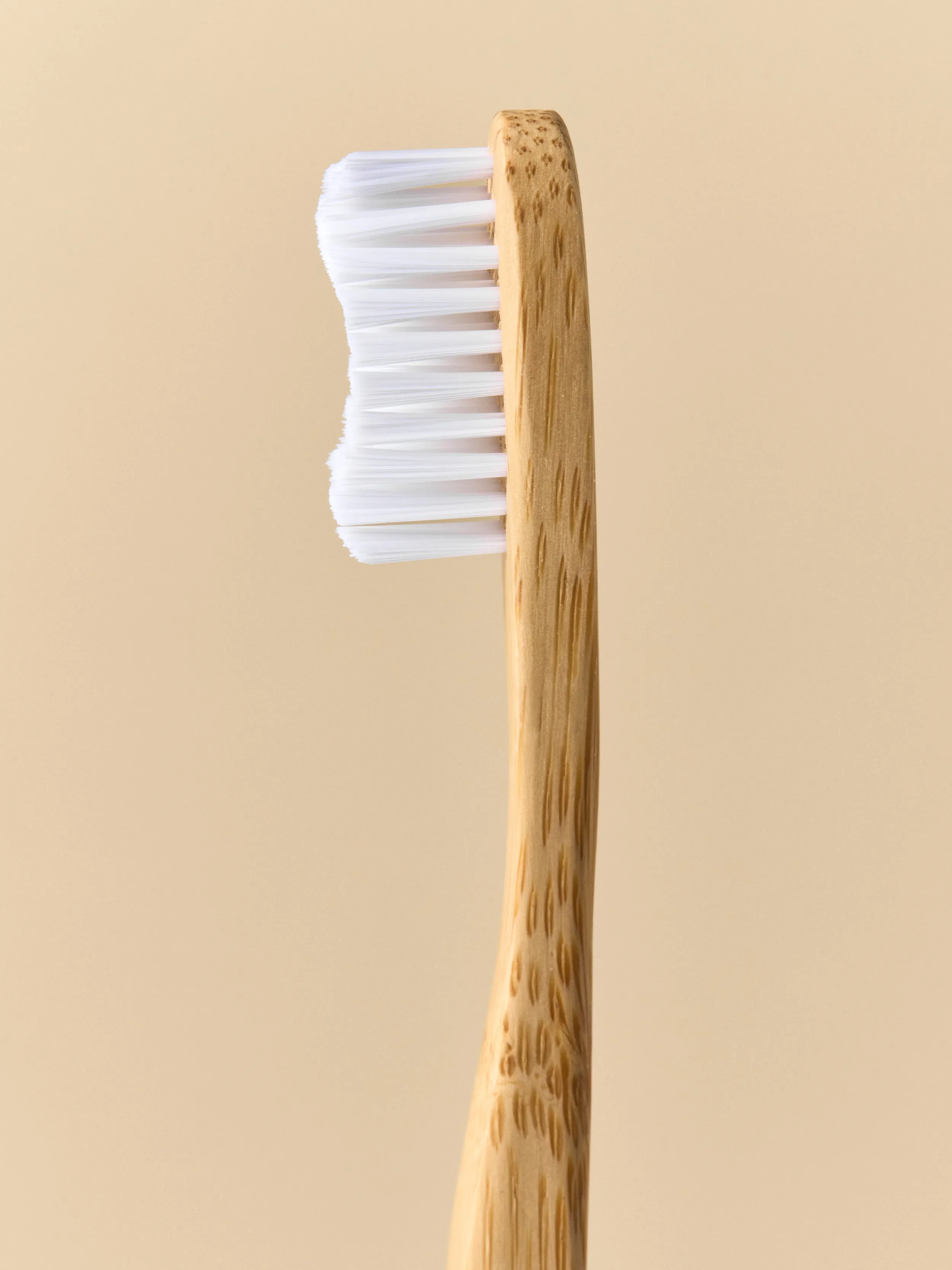 Family Pack - Toothbrush Adult – Medium