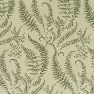 Folium-Forest