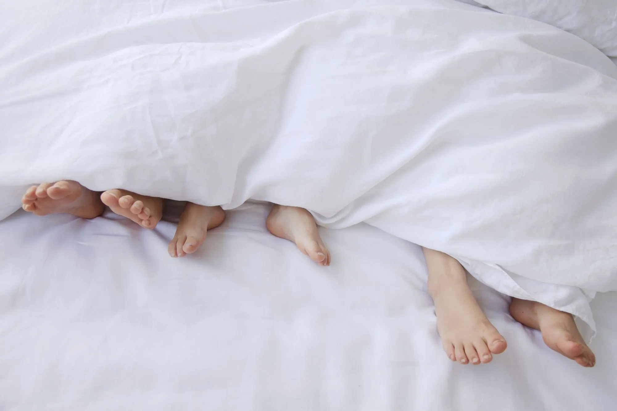 heritage pillowcases & shams