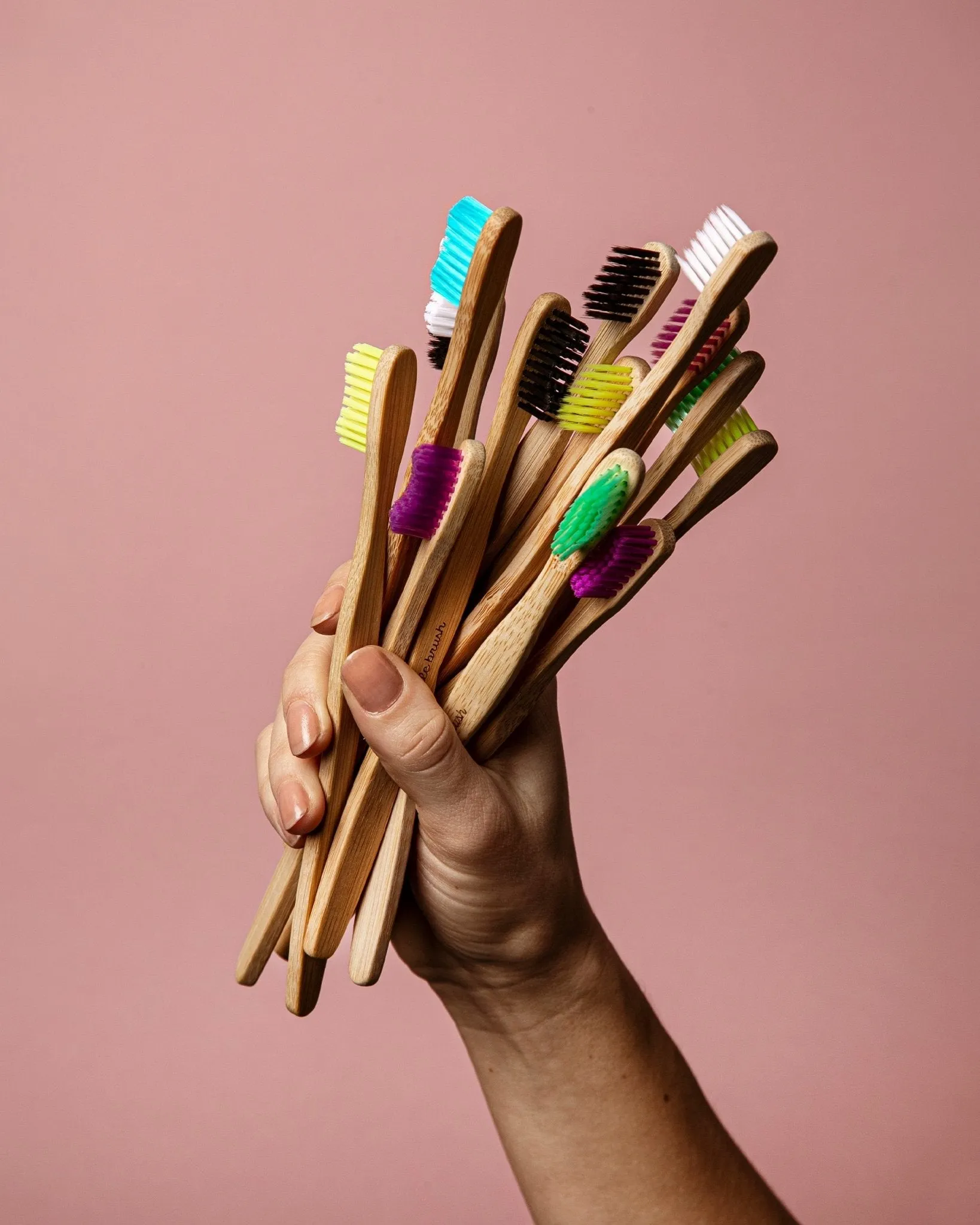 Humble Brush Bamboo - soft, purple