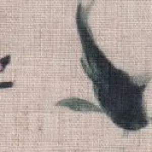 JX.24033