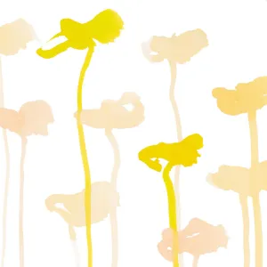 Katharine-Daffodil Oyster 0021