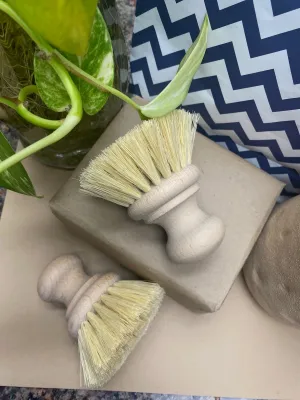 Kitchen Brushes- Pot Scrubbers