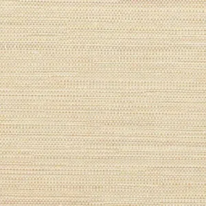 Lagoon-apricot