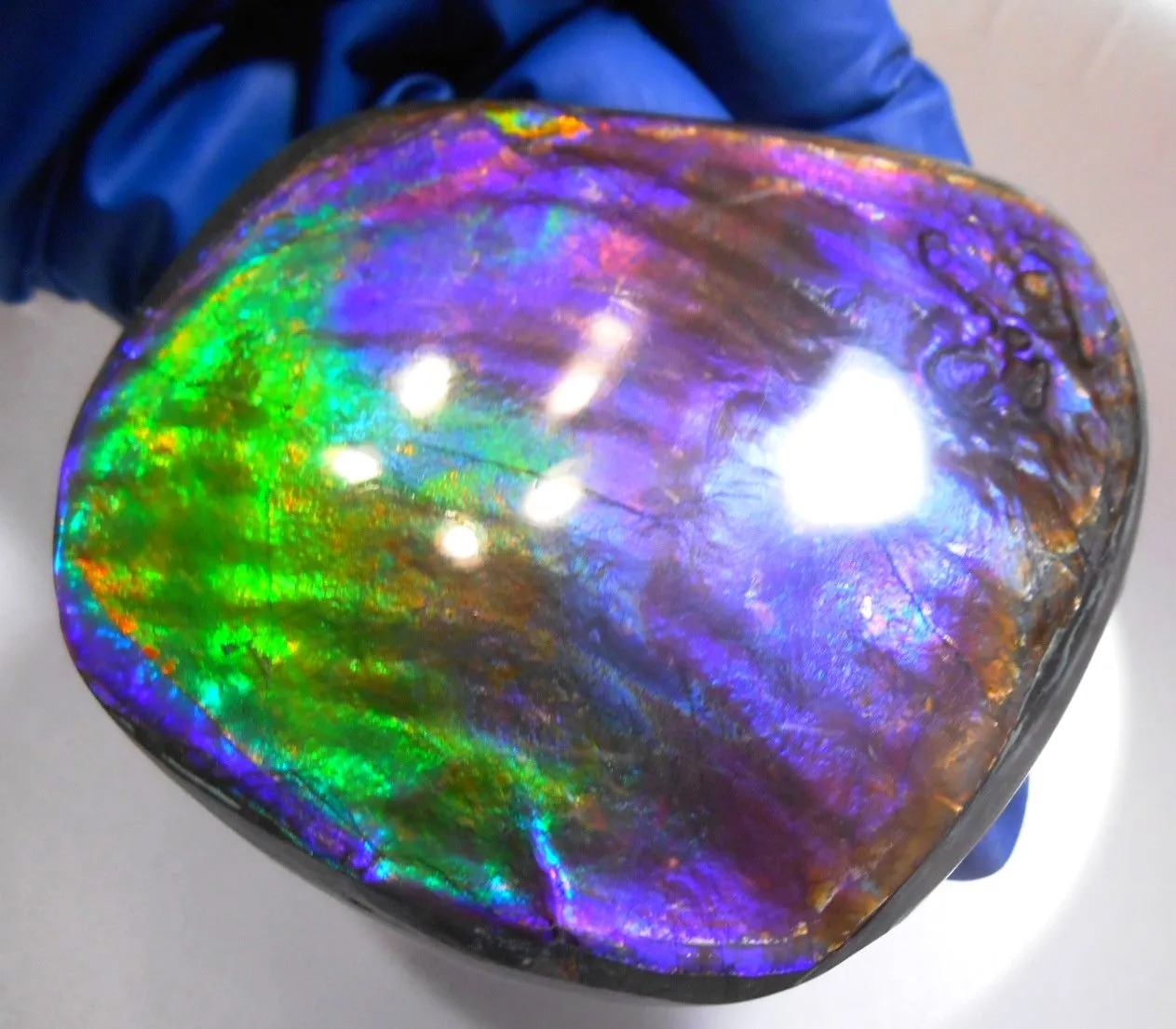 Make An Offer! 交渉あり☆Rare PINK with Gorgeous Colors COLLECTOR STONE  77 x 67 mm　Natural Ammolite - Feng Shui CS-105 ナチュラル　コレクション　ディスプレイピース