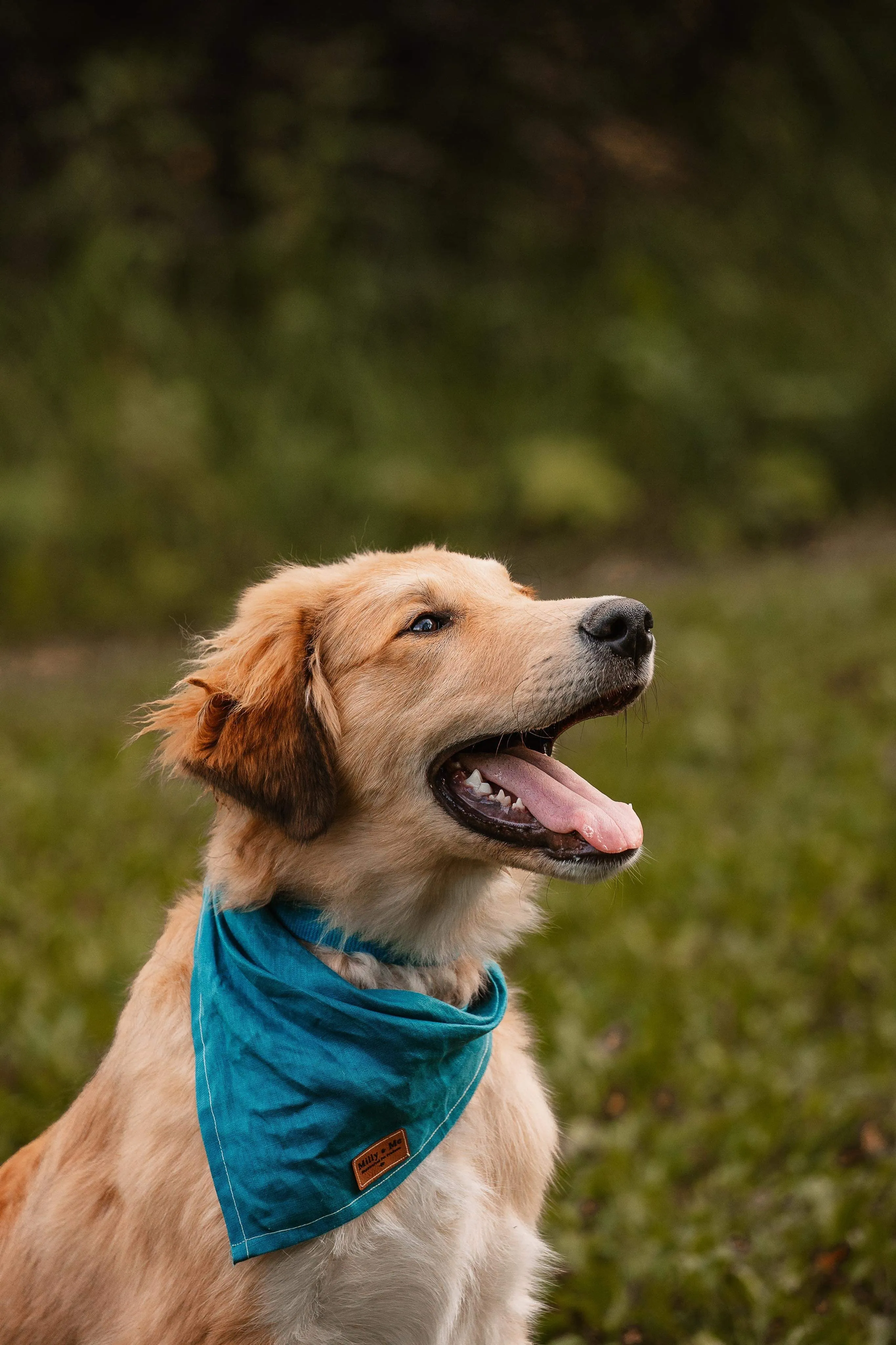 Ocean Pearl - Pure Linen Bandana