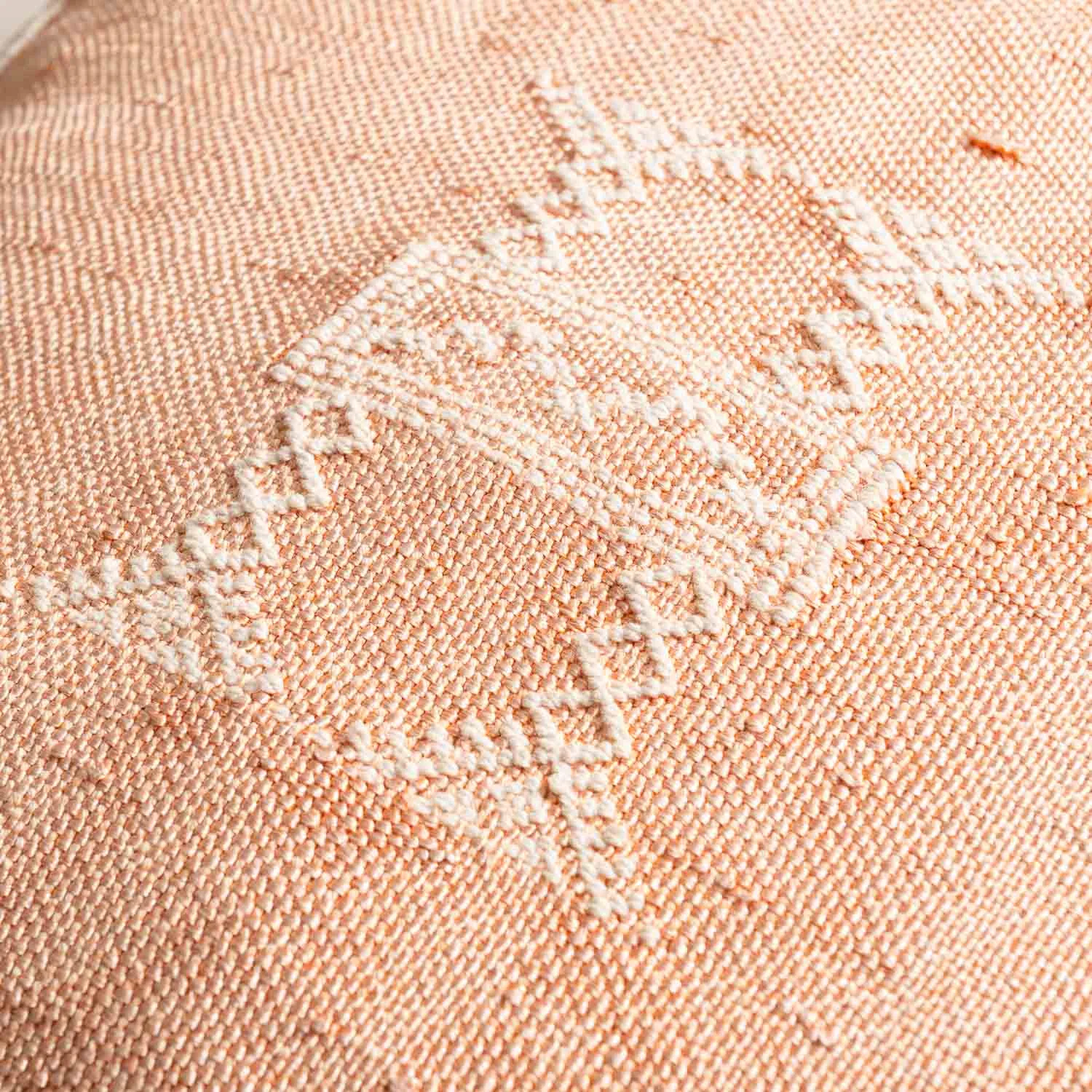 Orange  Cactus silk pillow cover