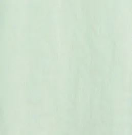 Petra - Linen Shirt in Mint