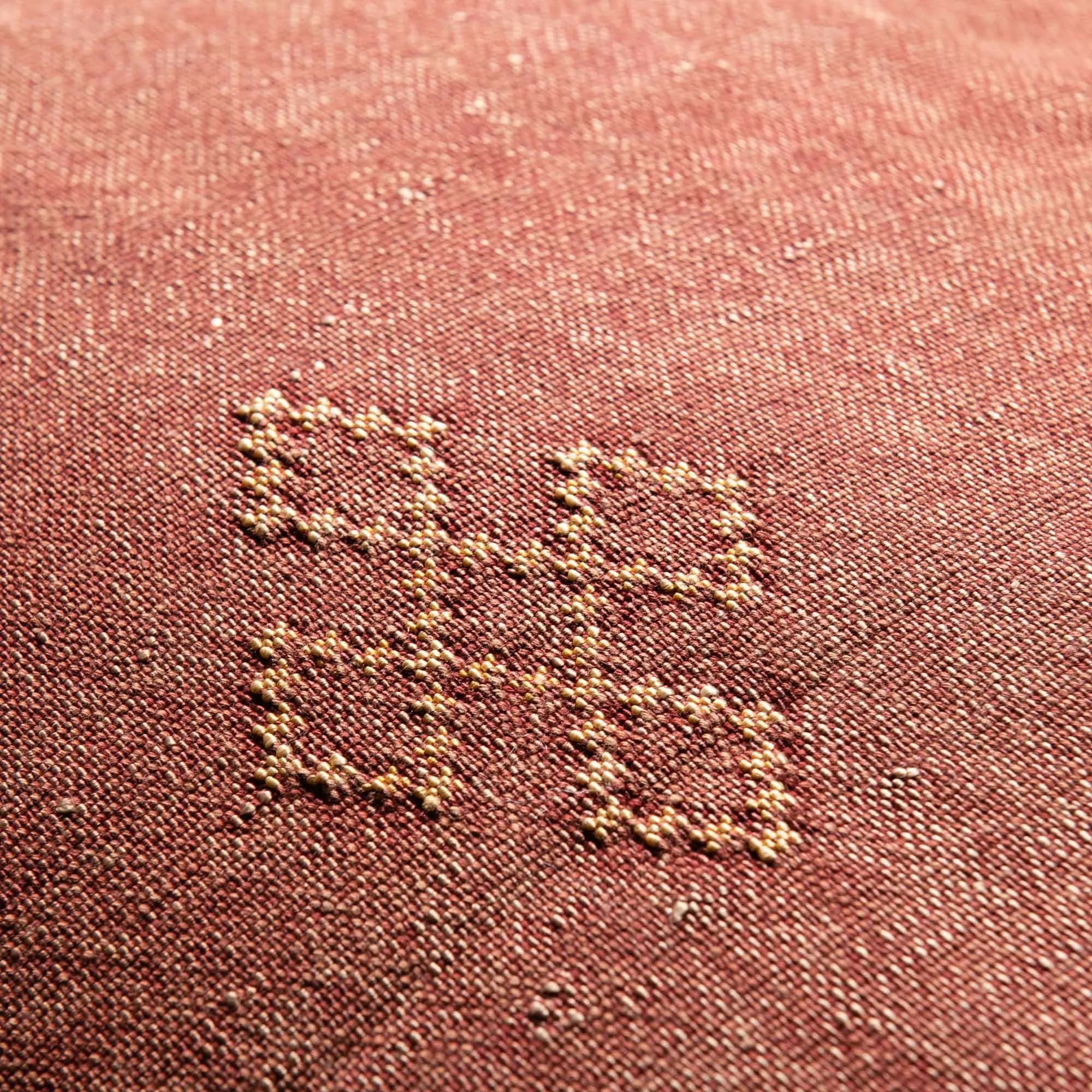 Red Cactus silk pillow cover