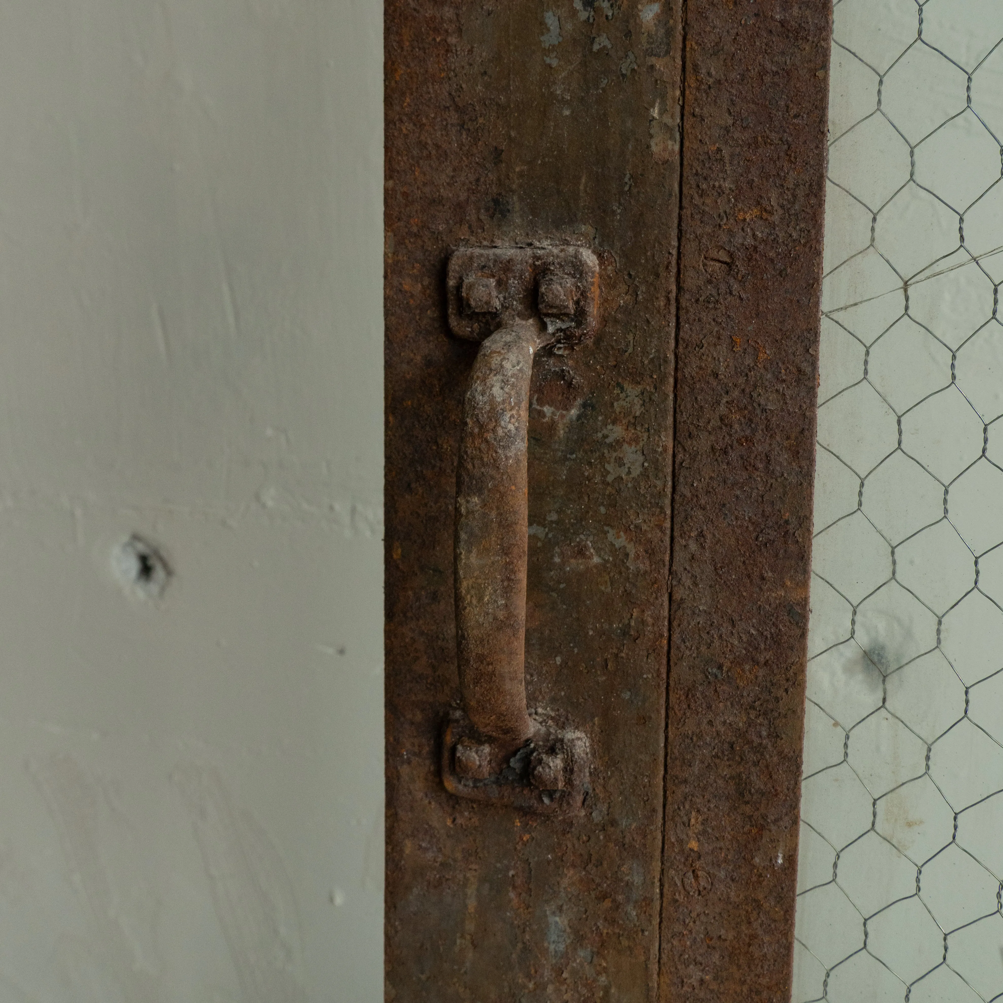 Salvaged Interior Door