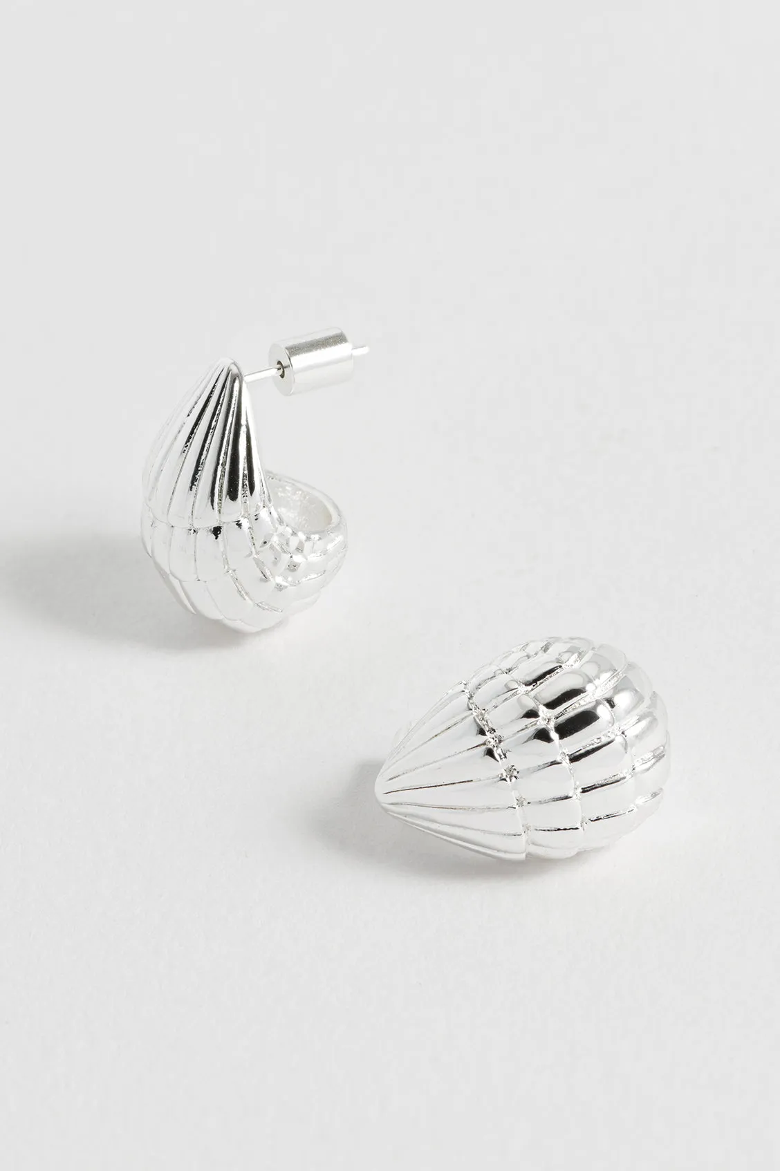 Seashell Teardrop Earrings