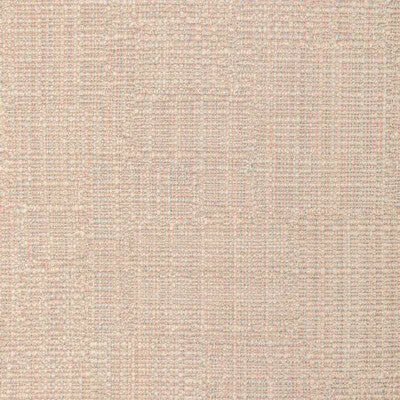 Seedbed-Flora