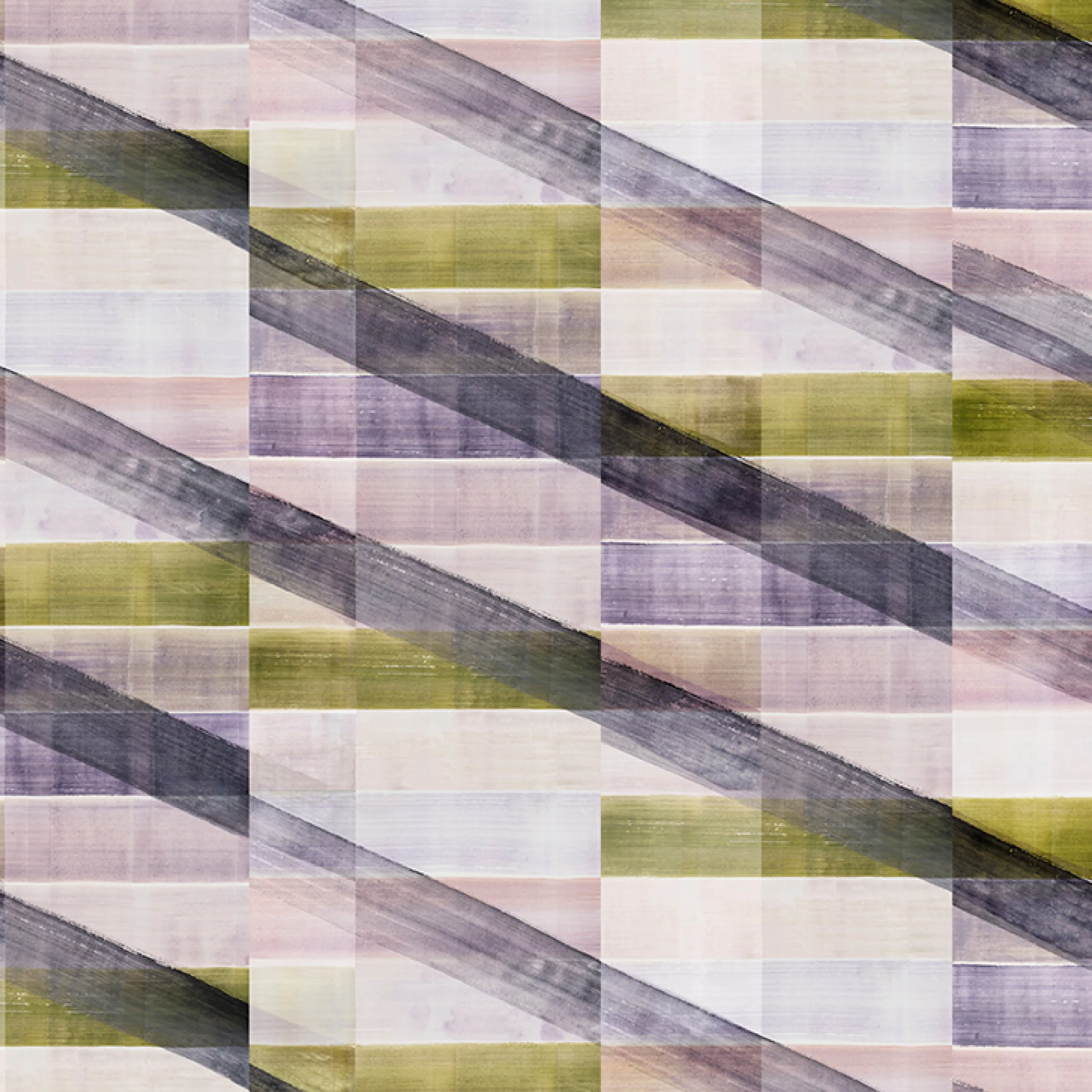 Seher-Milk Thistle Oyster 0021
