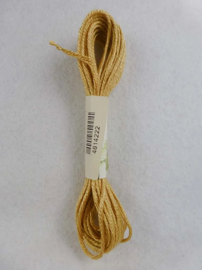 Soie d'Alger 4222