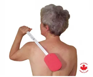 Sponge Long Handle Metal
