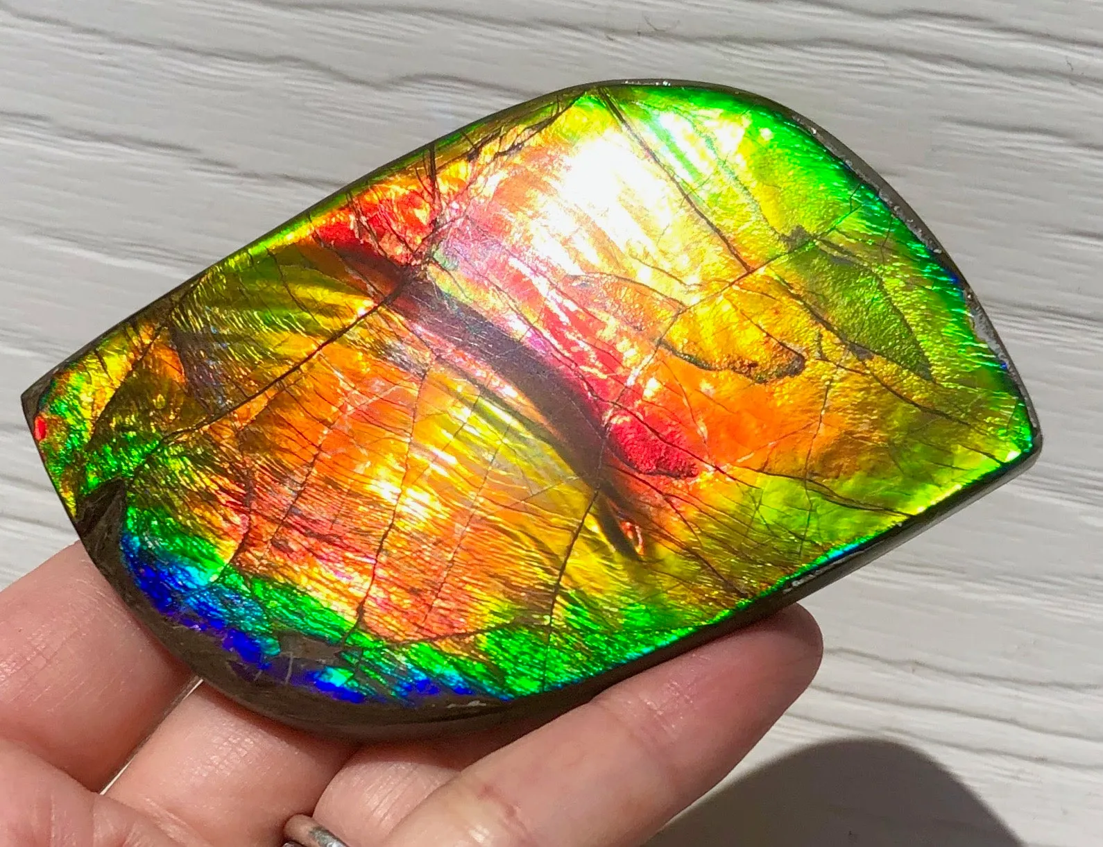 Super Flash  XL! 95x59x10 mm  TOP Grade Natural  Free Form . FFNT 133  Ammolite  Free Shipping! ナチュラル　ルース　アンモライト 送料無料！