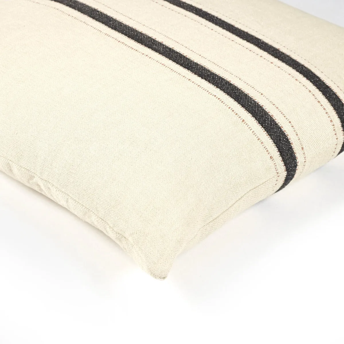 the patagonian stripe pillow cover
