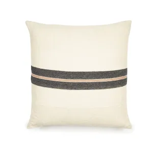 the patagonian stripe pillow cover
