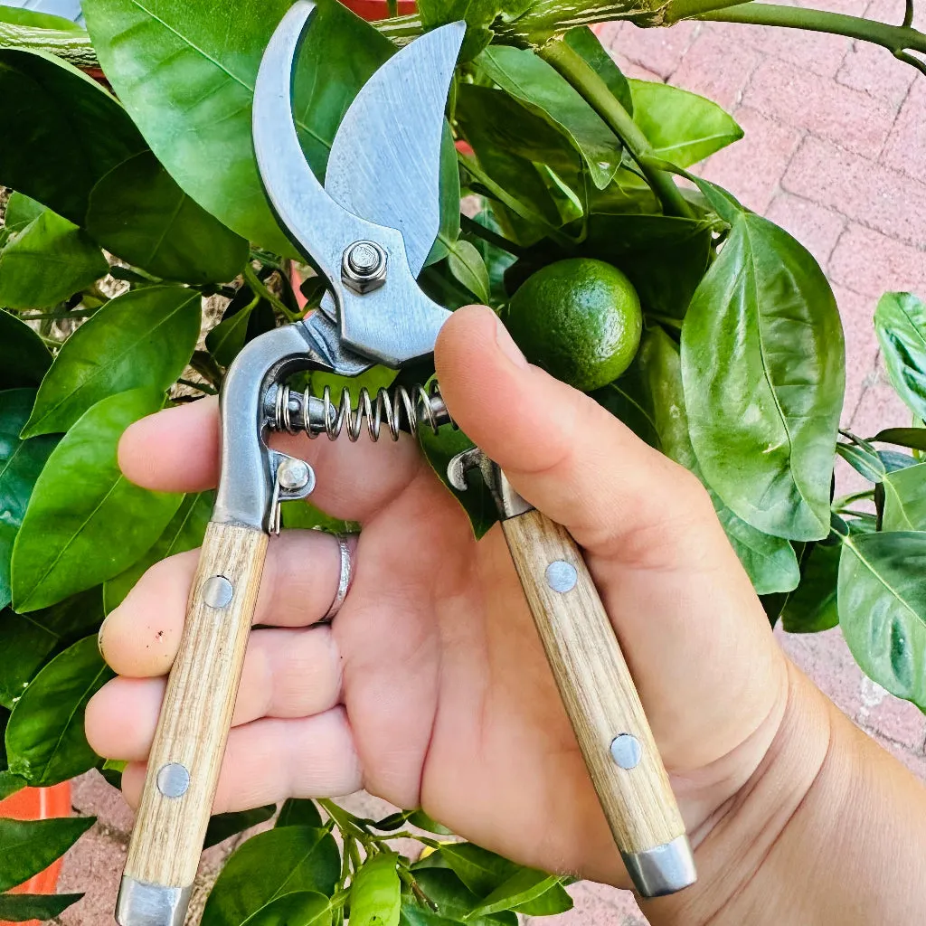 Traditional Garden Secateur with Stainless Steel Blades and Wood Handles