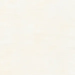 VINTAGE WHITE Basics by Jennifer Sampou from Chalk and Charcoal --- Robert Kaufman Fabrics